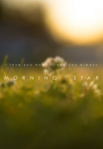 «Morning Star»