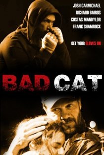 «Bad Cat»