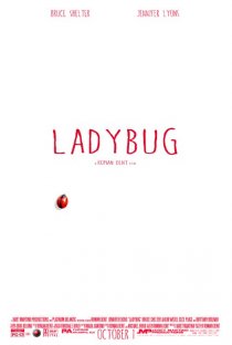 «Ladybug»