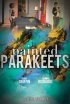 Постер «Painted Parakeets»