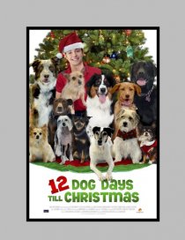 «12 Dog Days of Christmas»