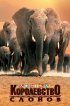 Постер «Африка – королевство слонов»