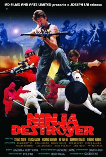 «Ninja Destroyer»