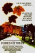Постер «Forest for the Trees»