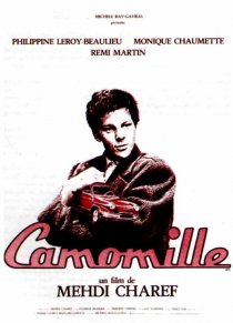 «Camomille»