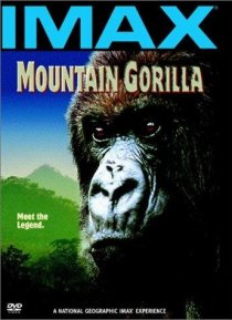 «Mountain Gorilla»
