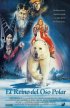 Постер «Король – полярный медведь»