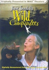 «Jane Goodall's Wild Chimpanzees»