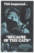 Постер «Из-за кошек»