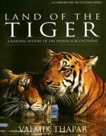 «Земля тигров»