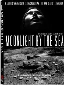 «Moonlight by the Sea»