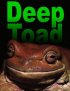 Постер «Deep Toad»