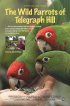 Постер «Дикие попугаи с Телеграф Хилл»
