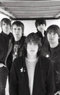 «The Pigeon Detectives»