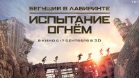 Продолжение «Бегущего в лабиринте»: новые испытания для героев
