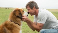 Премьеру «Собачьей жизни» отменили из-за обвинений зоозащитников
