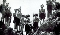 На Warner Bros. готовят девчачью версию «Повелителя мух»