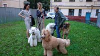 От альфа-самки до Евы Браун: 8 эпатажных киноролей Ксении Собчак