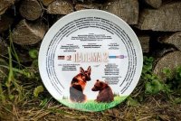 Стартовали съемки сиквела «Пальмы»
