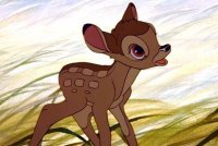 Disney готовит игровой ремейк «Бэмби»