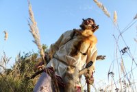 В Саранске состоится премьера первого в истории Мордовии фильма «Азор»