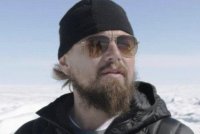 Леонардо ДиКаприо спродюсирует фильм о выживании собаки и волка