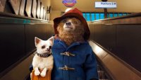 Кинотеатры возмутил перенос «Приключений Паддингтона 2» в России