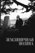 Постер «Земляничная поляна»