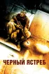 Постер «Черный ястреб»
