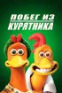 Постер «Побег из курятника»