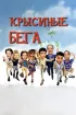 Постер «Крысиные бега»