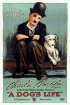 Постер «Собачья жизнь»