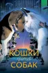 Постер «Кошки против собак»