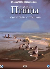 «Птицы»