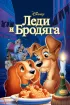 Постер «Леди и бродяга»