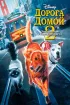 Постер «Дорога домой 2: Затерянные в Сан-Франциско»