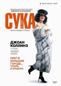«Сука»