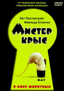 «Мистер крыс»