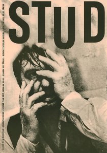 «Stud»