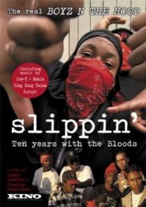 «Slippin': Ten Years with the Bloods»