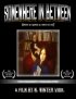 Постер «Somewhere in Between»