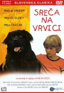 «Счастье на поводке»