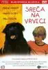 Постер «Счастье на поводке»