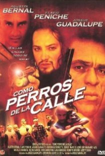 «Como perros de la calle»