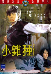 «Xiao za zhong»