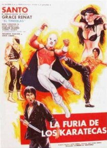 «La furia de los karatecas»