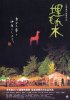 Постер «Таинственный лес»