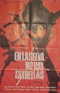 «В сельве нет звезд»