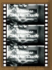 «Witness in the Dark»