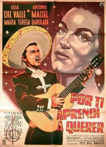 «Por ti aprendí a querer»